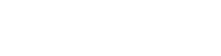 The Bed Specialist Logo